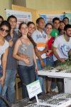 O sucesso do Projeto Castanheira