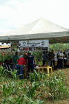 Acadêmicos realizam ?O dia da Integração da Agronomia? na Fazenda Escola da...