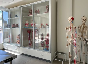 Laboratório de anatomia