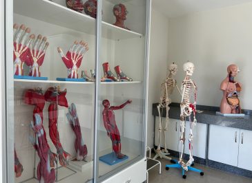 Laboratório de anatomia