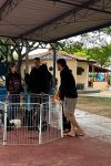 Projeto de Medicina Veterinária da FIMCA Vilhena promove Feira de Adoção em...